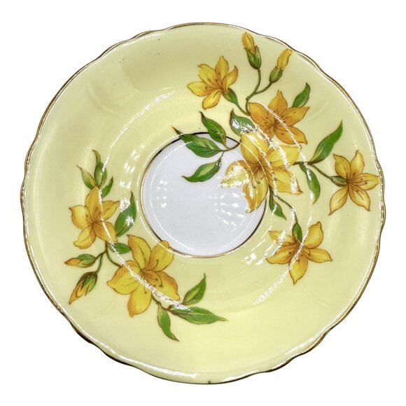 Paragon Double Warrent Yellow Forsythia Flowers Floral Tea Cup & Saucer - Picture 9 of 14